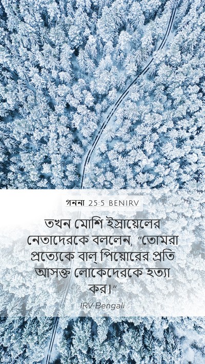 গননা 25:5 BENIRV Bible Verse Image