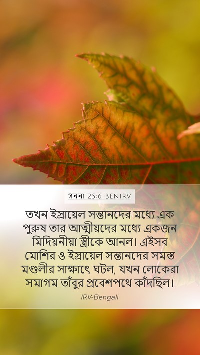 গননা 25:6 BENIRV Bible Verse Image