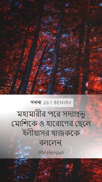 গননা 26:1 BENIRV Bible Verse Image