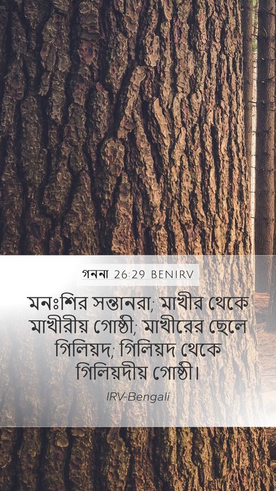 গননা 26:29 BENIRV Bible Verse Image