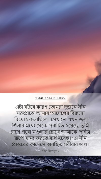 গননা 27:14 BENIRV Bible Verse Image