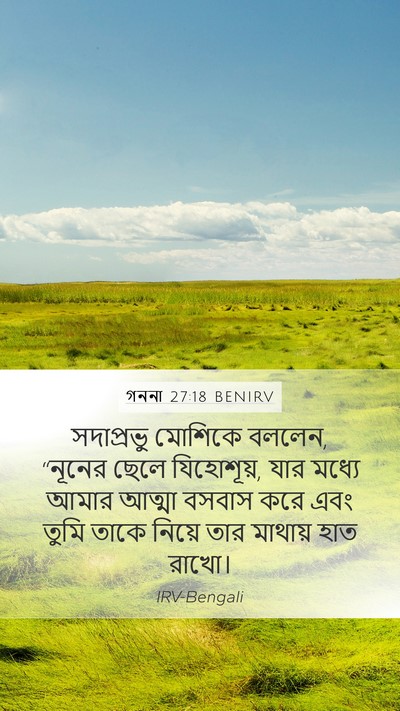 গননা 27:18 BENIRV Bible Verse Image