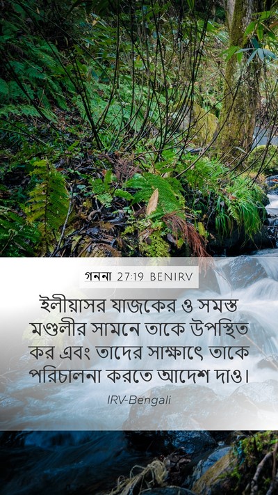 গননা 27:19 BENIRV Bible Verse Image