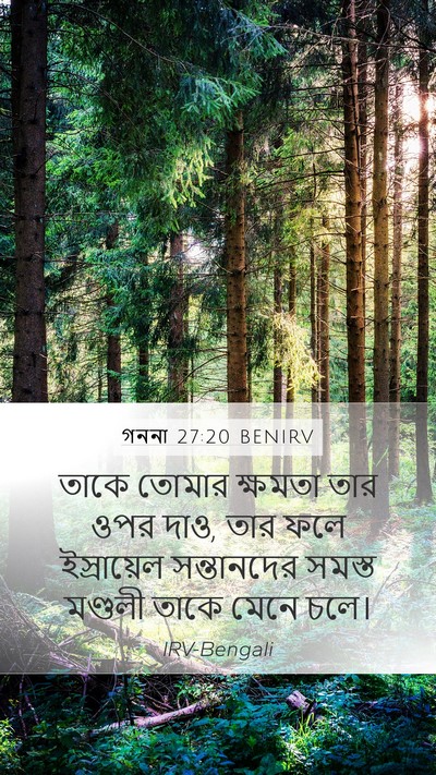 গননা 27:20 BENIRV Bible Verse Image