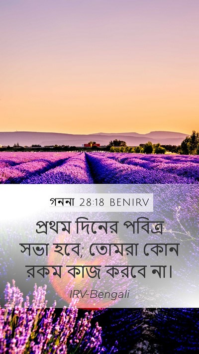 গননা 28:18 BENIRV Bible Verse Image