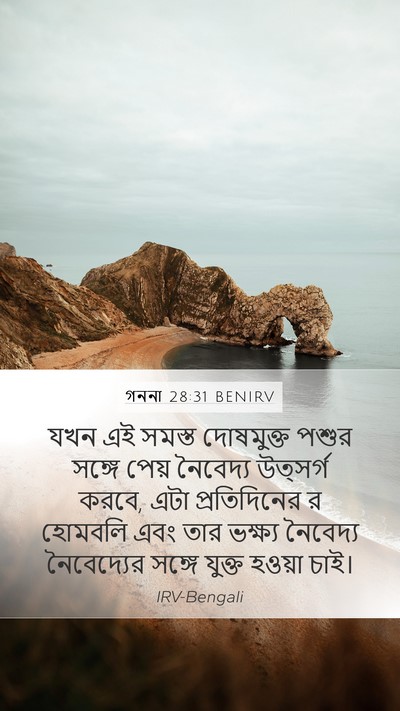 গননা 28:31 BENIRV Bible Verse Image