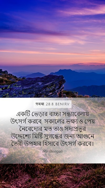 গননা 28:8 BENIRV Mobile Phone Wallpaper - একটি ভেড়ার - Mobile Bible Verse Wallpaper