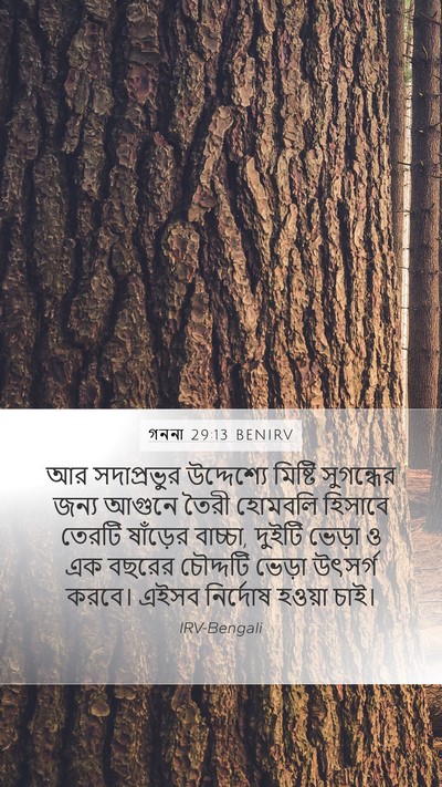গননা 29:13 BENIRV Bible Verse Image