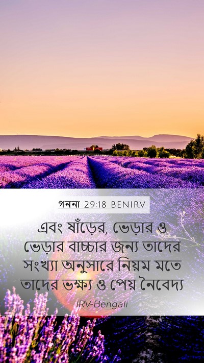 গননা 29:18 BENIRV Bible Verse Image