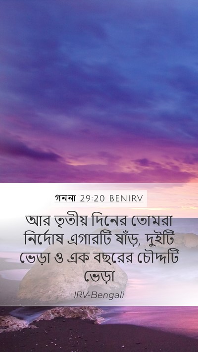 গননা 29:20 BENIRV Bible Verse Image