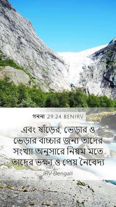 গননা 29:24 BENIRV Mobile Phone Wallpaper - এবং ষাঁড়ের, - Mobile Bible Verse Wallpaper