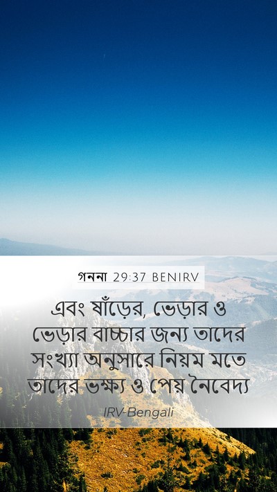 গননা 29:37 BENIRV Mobile Phone Wallpaper - এবং ষাঁড়ের, - Mobile Bible Verse Wallpaper