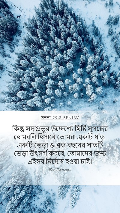 গননা 29:8 BENIRV Bible Verse Image