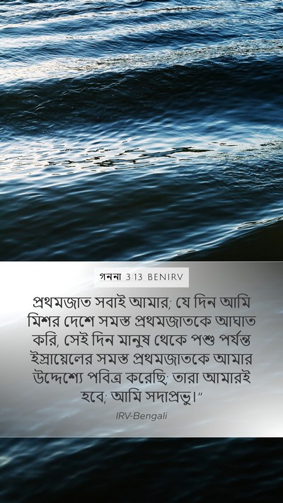 গননা 3:13 BENIRV Bible Verse Image