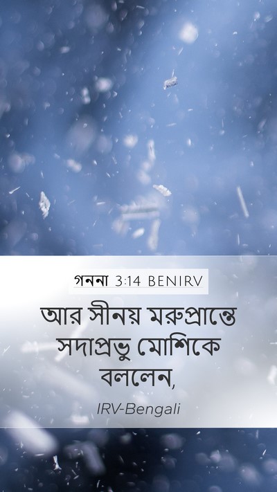 গননা 3:14 BENIRV Mobile Phone Wallpaper - আর সীনয় - Mobile Bible Verse Wallpaper