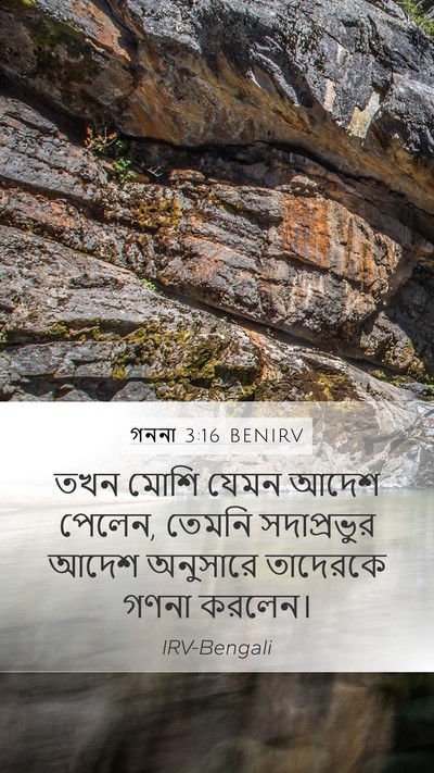গননা 3:16 BENIRV Mobile Phone Wallpaper - তখন মোশি যেমন আদেশ - Mobile Bible Verse Wallpaper