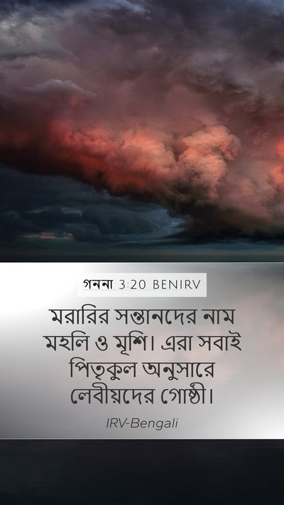 গননা 3:20 BENIRV Bible Verse Image