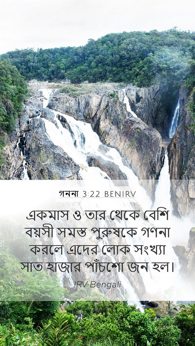 গননা 3:22 BENIRV Bible Verse Image