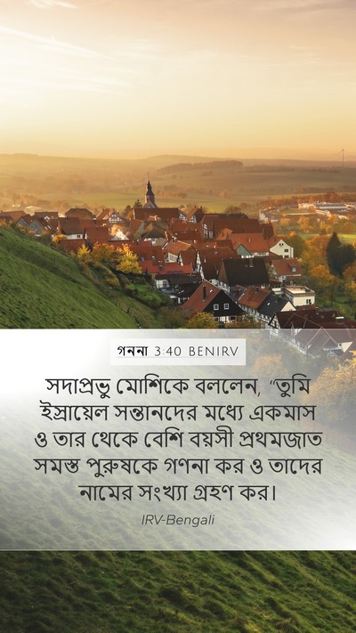 গননা 3:40 BENIRV Mobile Phone Wallpaper - সদাপ্রভু মোশিকে - Mobile Bible Verse Wallpaper