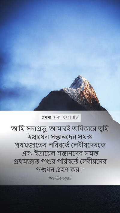 গননা 3:41 BENIRV Bible Verse Image