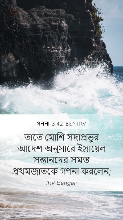 গননা 3:42 BENIRV Mobile Phone Wallpaper - তাতে মোশি - Mobile Bible Verse Wallpaper