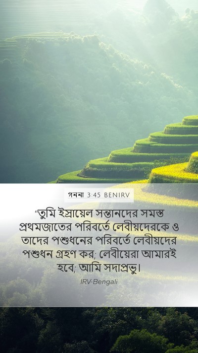 গননা 3:45 BENIRV Bible Verse Image