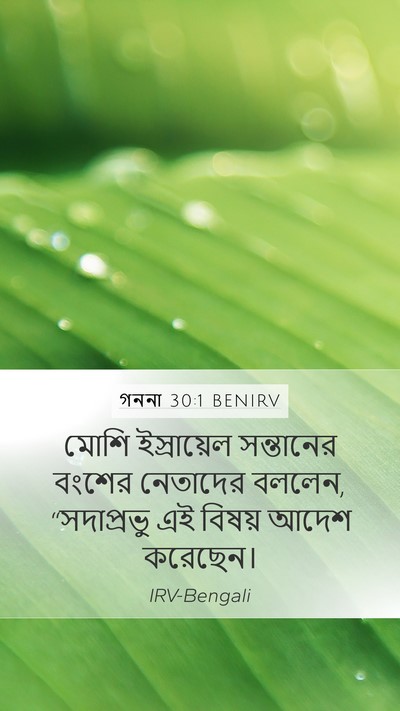 গননা 30:1 BENIRV Mobile Phone Wallpaper - মোশি ইস্রায়েল - Mobile Bible Verse Wallpaper