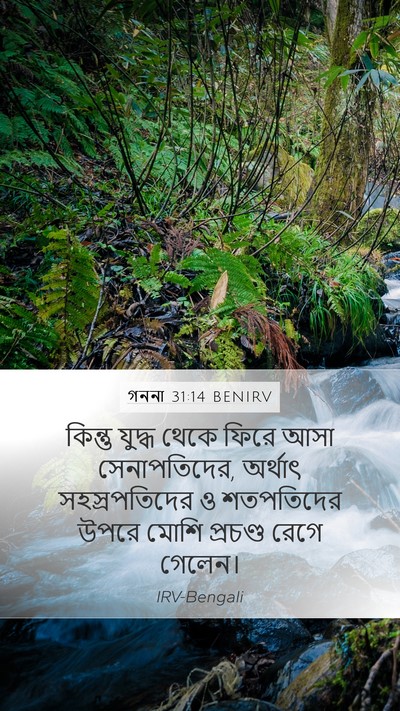 গননা 31:14 BENIRV Bible Verse Image