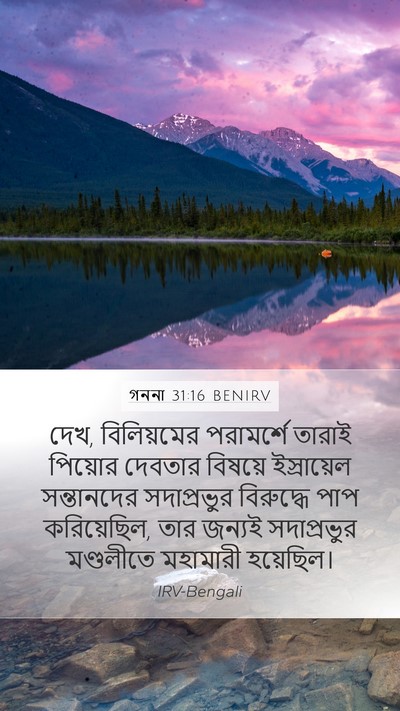 গননা 31:16 BENIRV Bible Verse Image