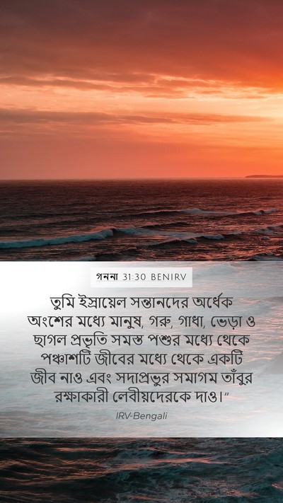 গননা 31:30 BENIRV Bible Verse Image