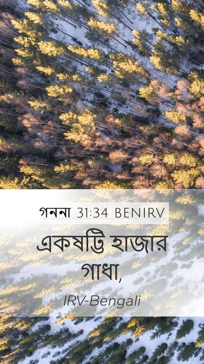 গননা 31:34 BENIRV Mobile Phone Wallpaper - একষট্টি হাজার - Mobile Bible Verse Wallpaper