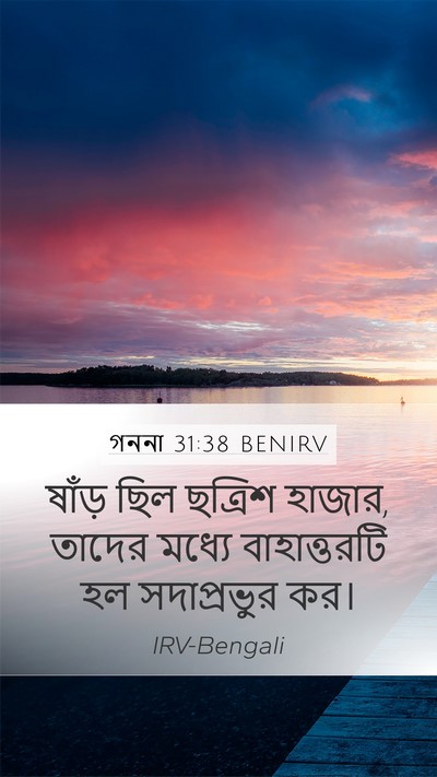 গননা 31:38 BENIRV Mobile Phone Wallpaper - ষাঁড় ছিল ছত্রিশ - Mobile Bible Verse Wallpaper