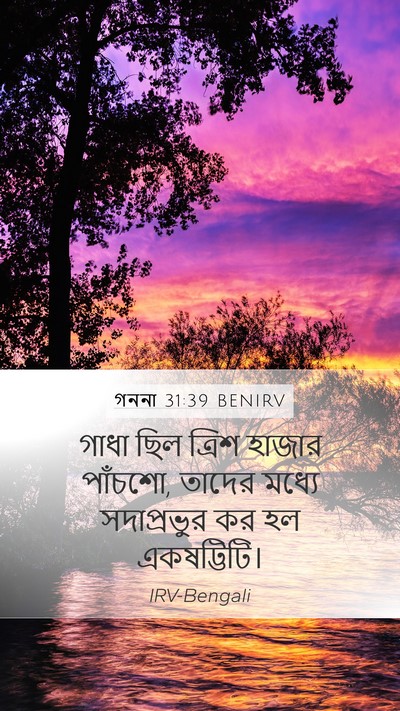 গননা 31:39 BENIRV Mobile Phone Wallpaper - গাধা ছিল ত্রিশ - Mobile Bible Verse Wallpaper