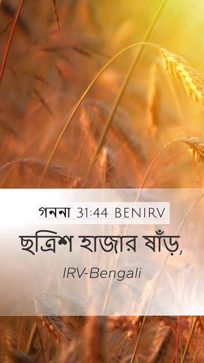 গননা 31:44 BENIRV Mobile Phone Wallpaper - ছত্রিশ হাজার - Mobile Bible Verse Wallpaper