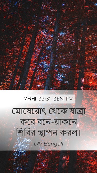 গননা 33:31 BENIRV Mobile Phone Wallpaper - মোষেরোৎ থেকে - Mobile Bible Verse Wallpaper