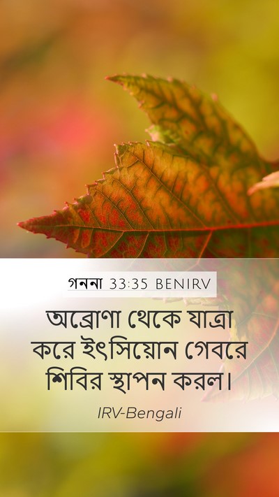 গননা 33:35 BENIRV Bible Verse Image