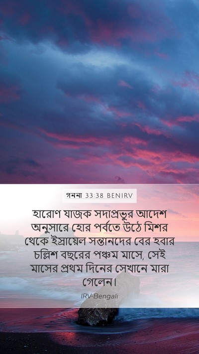 গননা 33:38 BENIRV Bible Verse Image
