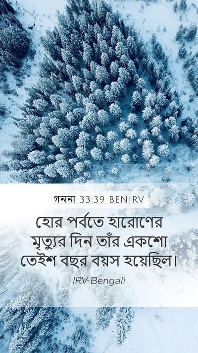 গননা 33:39 BENIRV Mobile Phone Wallpaper - হোর পর্বতে - Mobile Bible Verse Wallpaper