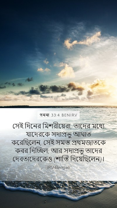 গননা 33:4 BENIRV Bible Verse Image