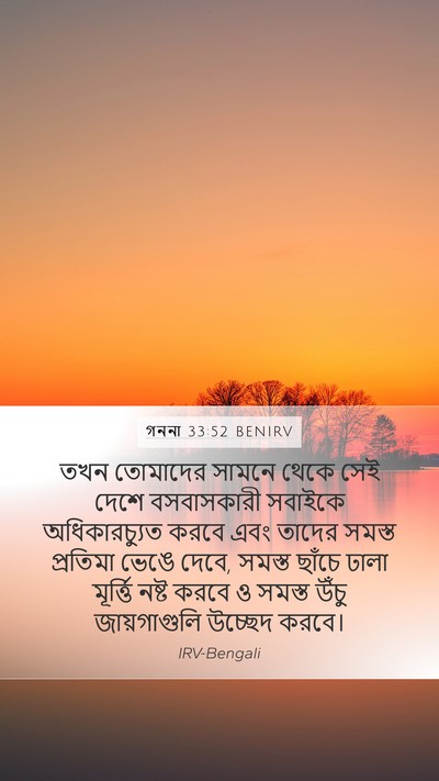 গননা 33:52 BENIRV Bible Verse Image