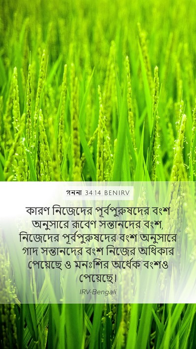 গননা 34:14 BENIRV Mobile Phone Wallpaper - কারণ নিজেদের - Mobile Bible Verse Wallpaper