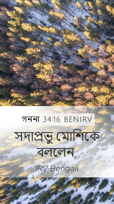 গননা 34:16 BENIRV Mobile Phone Wallpaper - সদাপ্রভু মোশিকে - Mobile Bible Verse Wallpaper