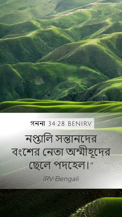 গননা 34:28 BENIRV Mobile Phone Wallpaper - নপ্তালি সন্তানদের - Mobile Bible Verse Wallpaper