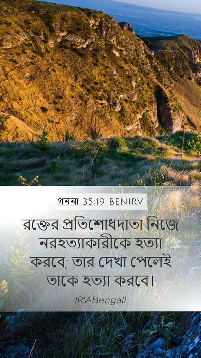 গননা 35:19 BENIRV Bible Verse Image