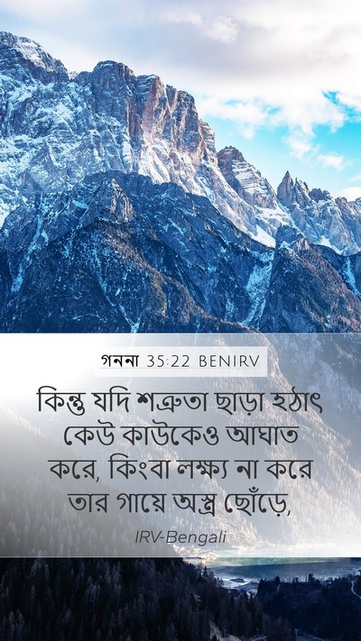 গননা 35:22 BENIRV Bible Verse Image
