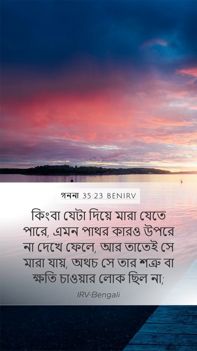 গননা 35:23 BENIRV Mobile Phone Wallpaper - কিংবা যেটা দিয়ে - Mobile Bible Verse Wallpaper