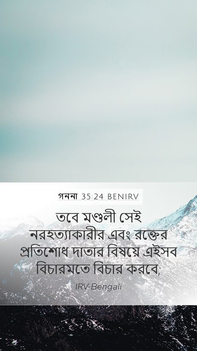 গননা 35:24 BENIRV Bible Verse Image
