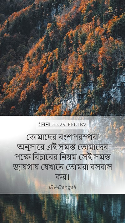 গননা 35:29 BENIRV Bible Verse Image