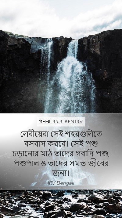 গননা 35:3 BENIRV Bible Verse Image