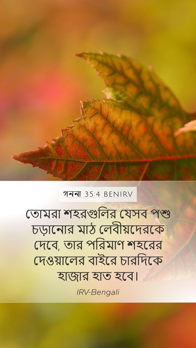 গননা 35:4 BENIRV Mobile Phone Wallpaper - তোমরা শহরগুলির - Mobile Bible Verse Wallpaper